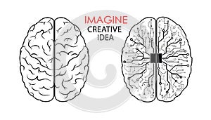 Brain logo vector illustration on white background. The brain image is compared to a computer with a processing chip