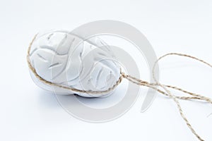 Brain in a loop or rope lasso lariat, riata. Brain model, wrapped rope or catch or hunt rope loop. Concept for headhunters, HR, photo
