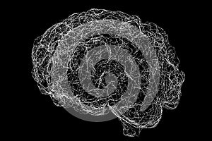 Brain made of neuronal networks