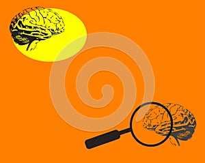 Brain and magnifying glass