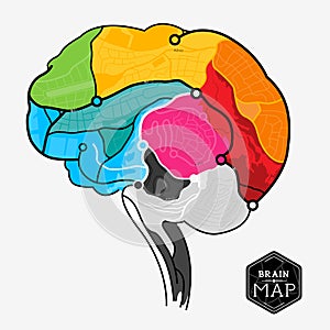 Brain Map