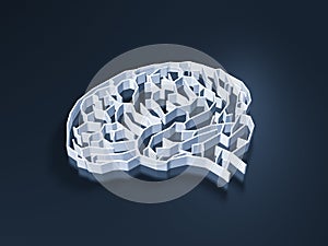 Brain maze