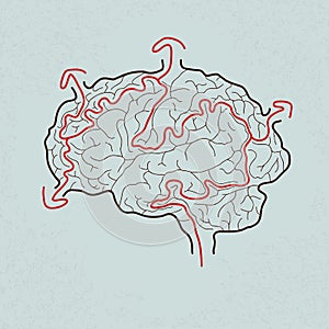 Brain maze with correct path