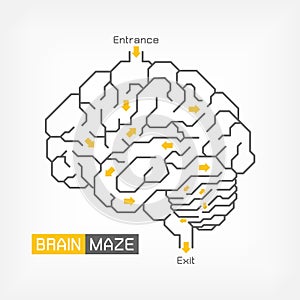 Brain maze . Creative idea concept . Outline of cerebrum cerebellum and brainstem . Flat design