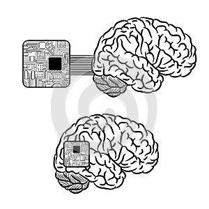 Brain microscheme background