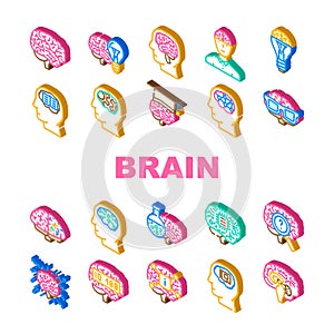 brain mind human head icons set vector