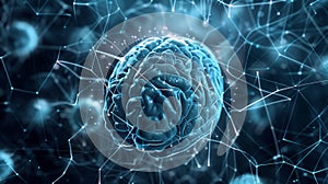 Brain Model Connection