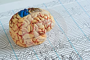 Brain model on EEG waves paper