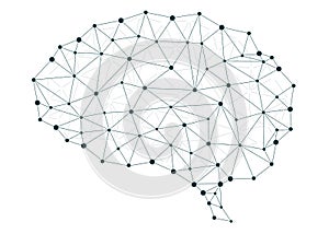 Brain networks