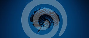 brain neural of AI robot for high technology network, quantum computer processing, digital data generative, 3d illustration