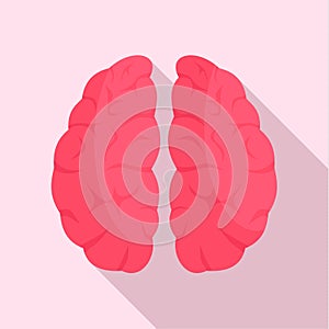 Brain neurons icon, flat style