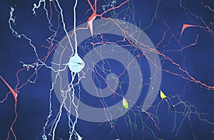 Brain, neurons, synapses, neural network circuit of neurons, degenerative diseases, Parkinson photo