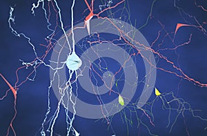 Brain, neurons, synapses, neural network circuit of neurons, degenerative diseases, Parkinson