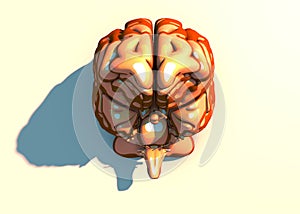 Brain, neurons, synapses, neural network circuit of neurons, degenerative diseases, Parkinson