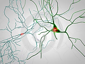 Brain, neurons, synapses, neural network, degenerative diseases, Parkinson