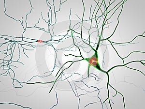 Brain, neurons, synapses, neural network, degenerative diseases, Parkinson