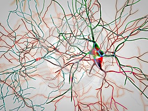 Brain, neurons, synapses, neural network, degenerative diseases, Parkinson photo