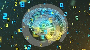 Brain and numbers - Big Data and statistics - left view