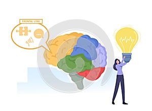 Brain Parts Anatomy. Tiny Female Character with Glowing Light Bulb in Hands at Huge Human Brain Separated on Parts