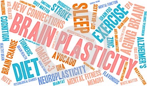 Brain Plasticity Word Cloud