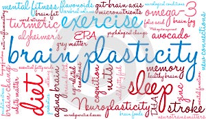 Brain Plasticity Word Cloud