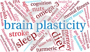 Brain Plasticity Word Cloud