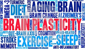 Brain Plasticity Word Cloud