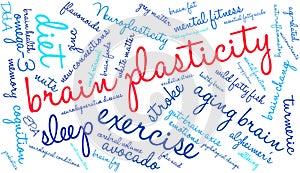 Brain Plasticity Word Cloud