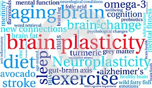Brain Plasticity Word Cloud
