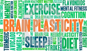 Brain Plasticity Word Cloud