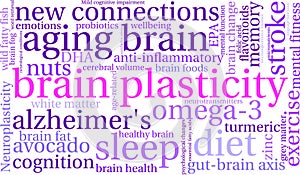 Brain Plasticity Word Cloud