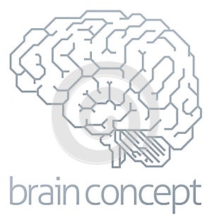 Brain Profile Concept