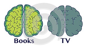 Brain - progress and regress