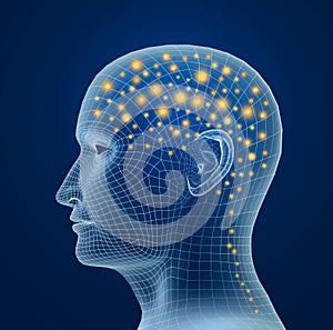 Brain, and pulses. process of human thinking