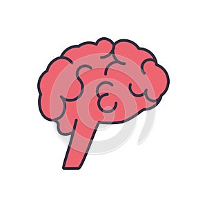 Brain related vector icon