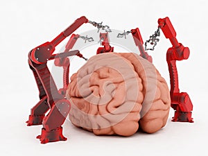 Brain and robots