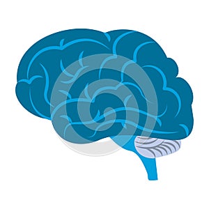 Brain size view icon cartoon