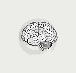 Brain sketch, thought intellect symbol. Mental health awareness, cognitive functions, intelligence assessments icon for