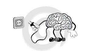 Brain with socket