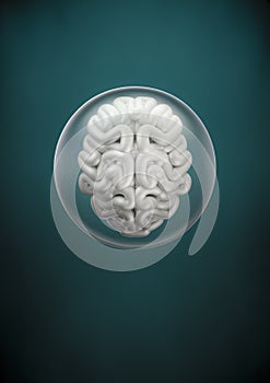 Brain sphere