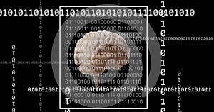 Brain surrounded by binary code, representing data processing and artificial intelligence
