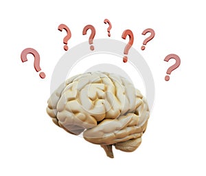 Brain surrounded with question marks