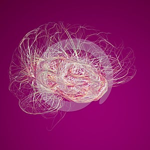 Brain, the temporal lobe is one of the four major lobes of the cerebral cortex photo