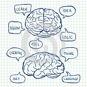 Cerebro pensar burbujas 