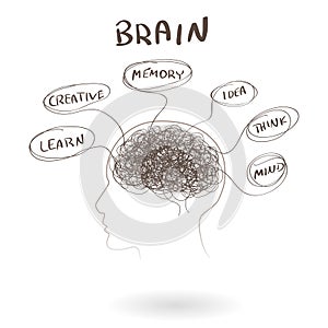 Brain, a thinking human concept. Vector