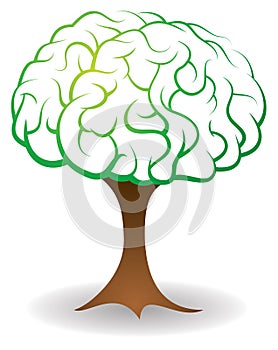 Brain Tree