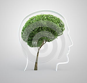 Cerebro un árbol hombre cabeza 
