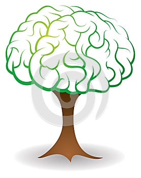 Cervello un albero 