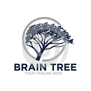 Brain tree logo designs