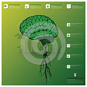 Brain Tree And Root Infographic